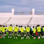 Préparation des Lions : un nouveau défi pour confirmer le statut de champion d&rsquo;Afrique