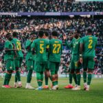 « Nous n’avons pas peur» : les Lions envoient un message à la France et la Norvège