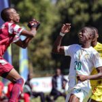 Championnat scolaire : les Lionceaux déjà en demi-finale