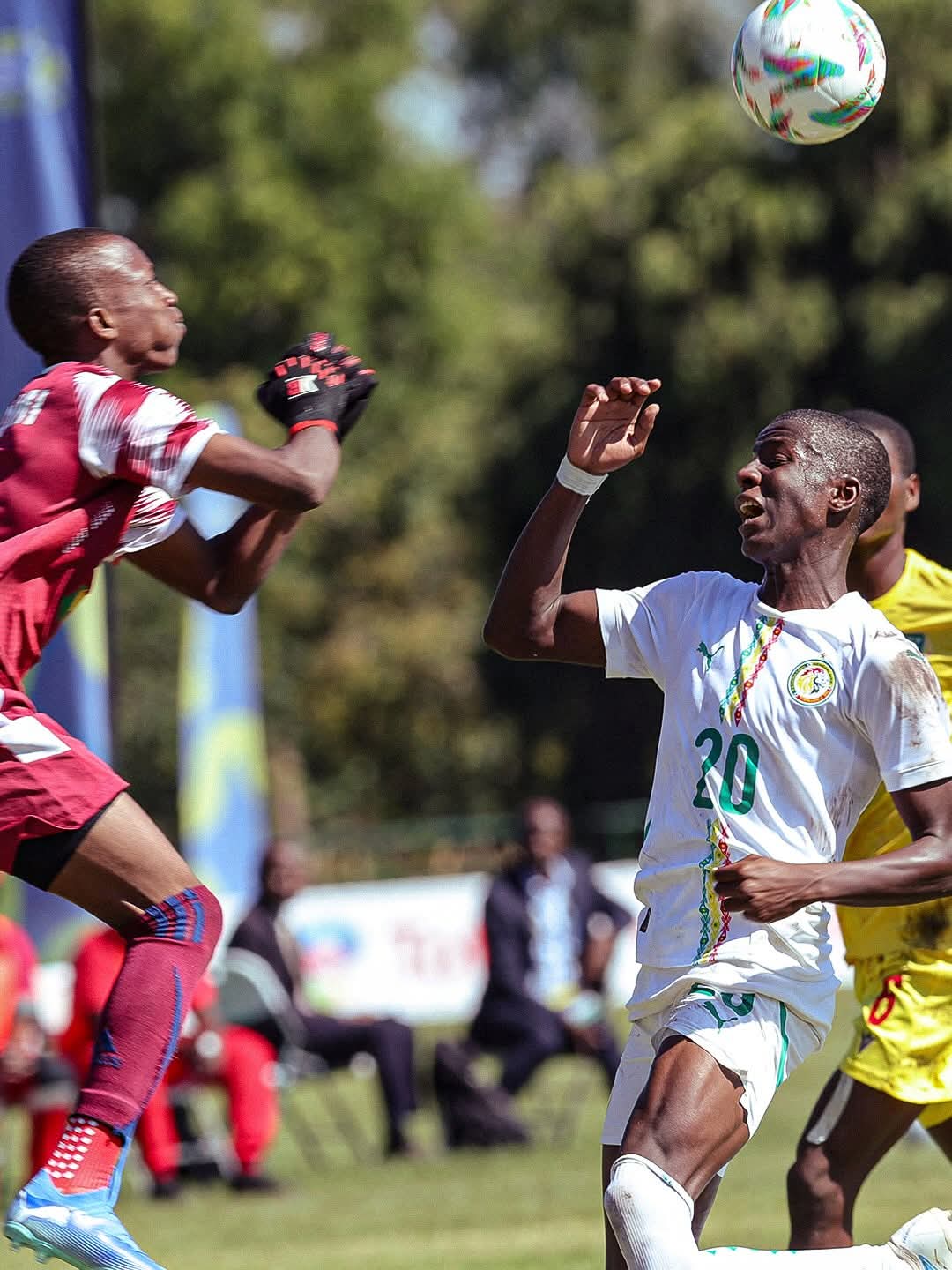 Championnat scolaire : les Lionceaux déjà en demi-finale