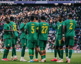 « Nous n’avons pas peur» : les Lions envoient un message à la France et la Norvège