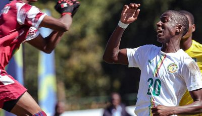 Championnat scolaire : les Lionceaux déjà en demi-finale