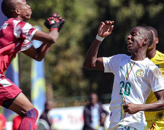 Championnat scolaire : les Lionceaux déjà en demi-finale