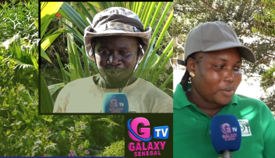 Rufisque: Le commerce des fleurs, une économie locale qui pousse bien