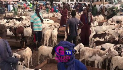 Tension à la veille de la Tabaski : acheteurs sous pression, vendeurs en force au Daral de Rufisque