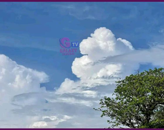 Météo du vendredi 23 janvier 2026 : un temps sec et ensoleillé attendu