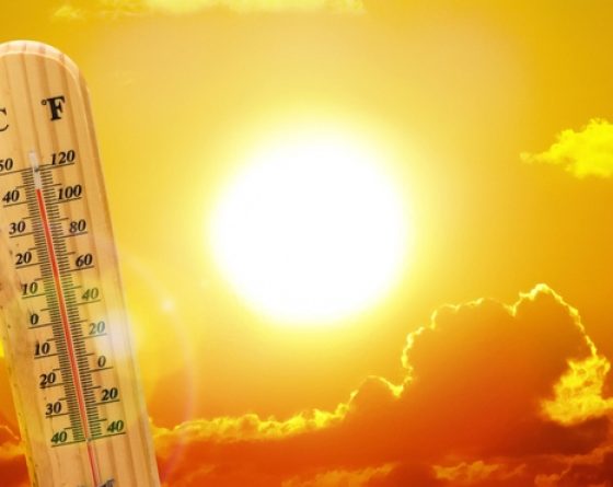 Météo du 02 février 2026 : un temps chaud et ensoleillé domine la journée