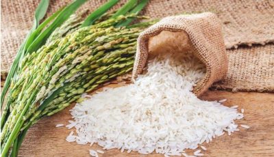 Vers une nouvelle baisse du prix du riz brisé ordinaire au Sénégal ?