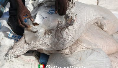 Contrebande de poulets : huit arrestations au large de Somone